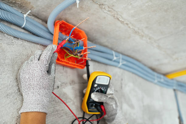 Best Electric Panel Repair  in Big Coppitt Key, FL